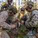 Advanced Infantry Training Company final exercise
