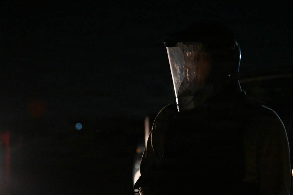 SOFEX: 1 SOW, 14 WPS test interoperability, readiness