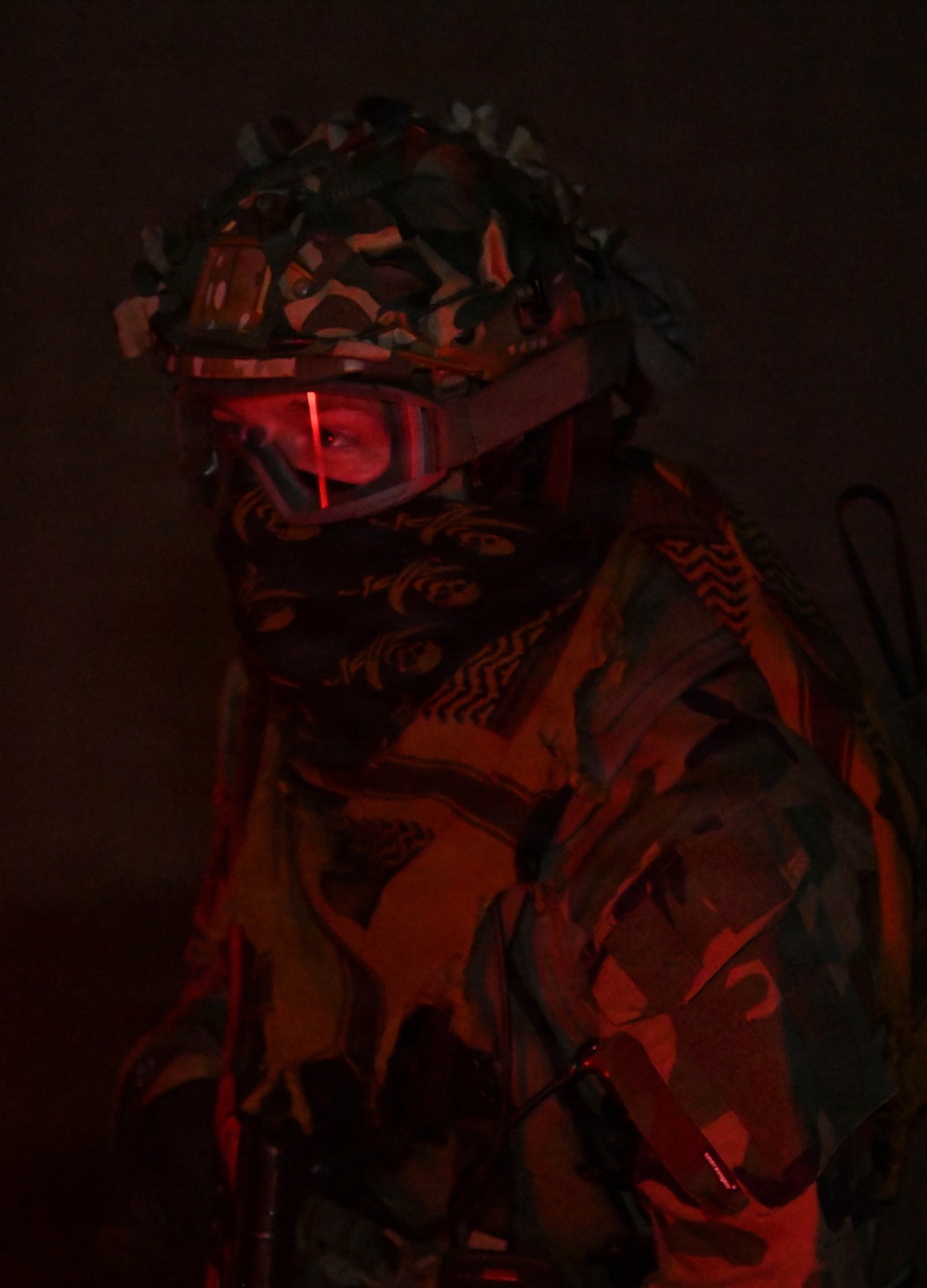 SOFEX: 1 SOW, 14 WPS test interoperability, readiness