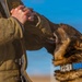 90th SFS Military Working Dog