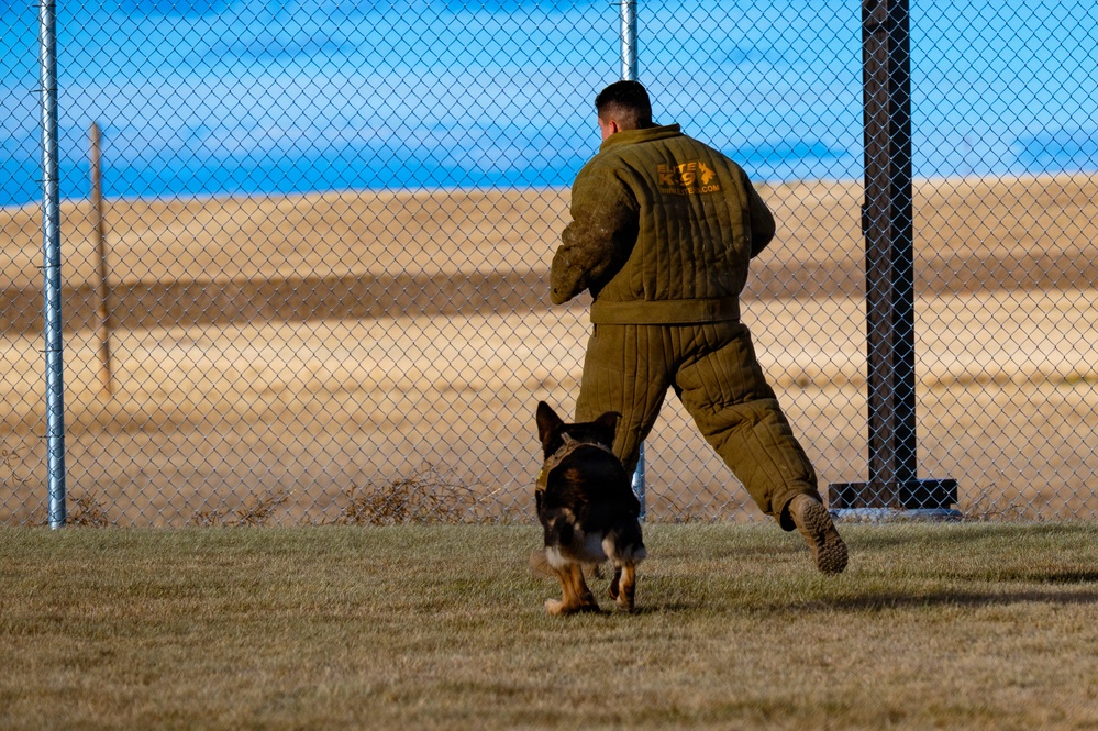 90th SFS Military Working Dog