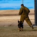 90th SFS Military Working Dog