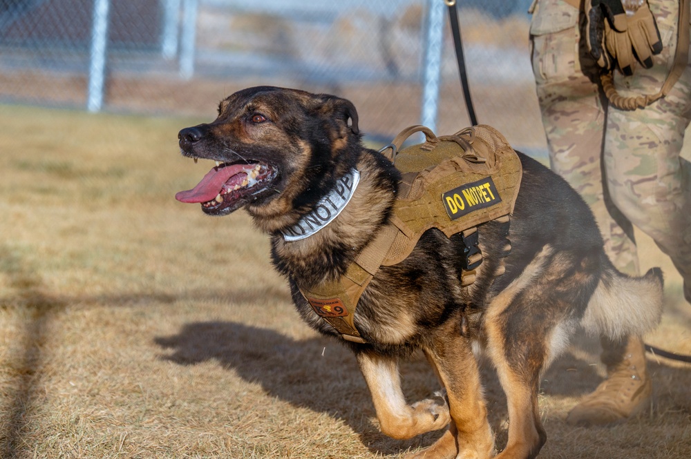 90th SFS Military Working Dog