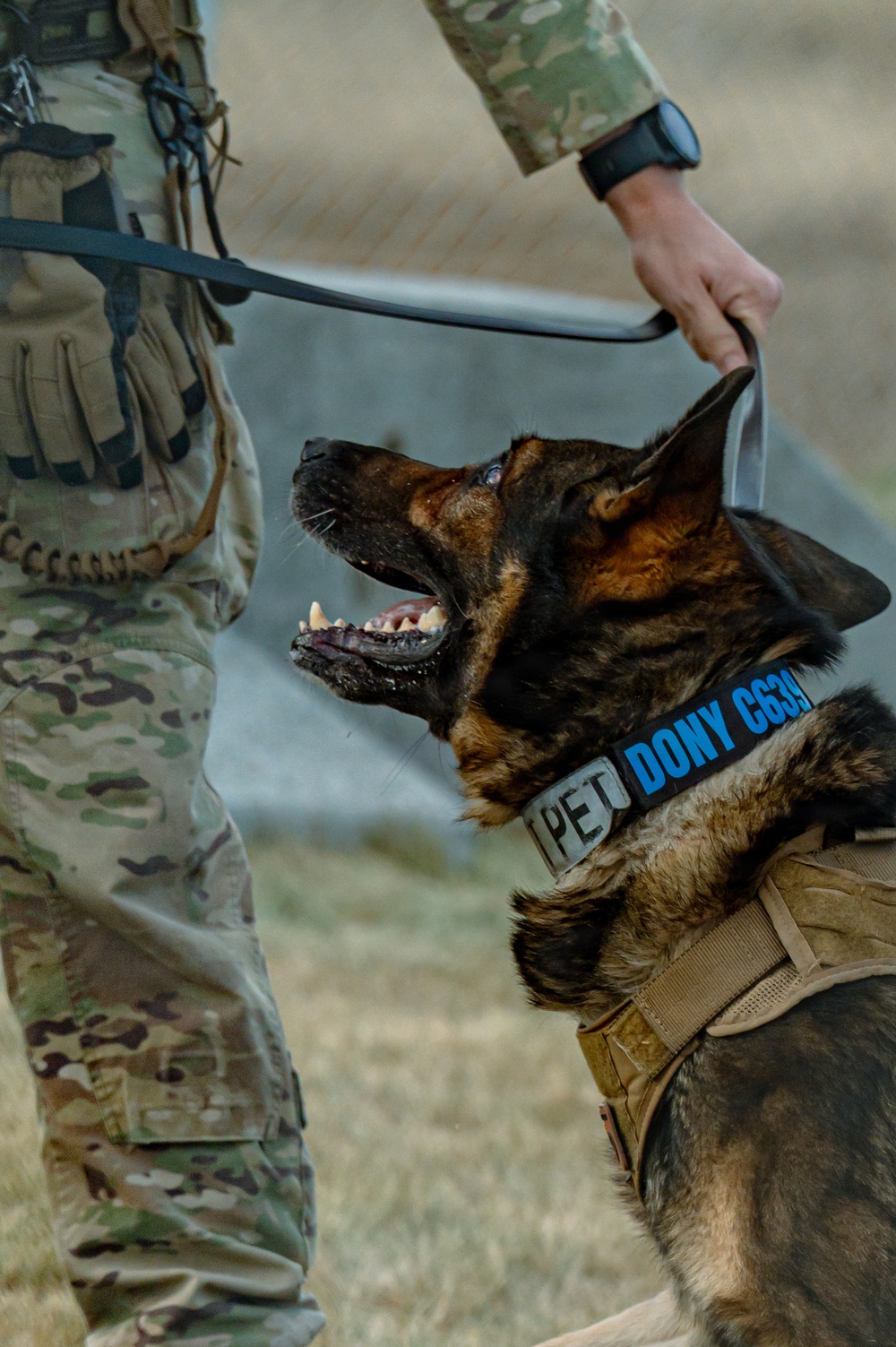 90th SFS Military Working Dog