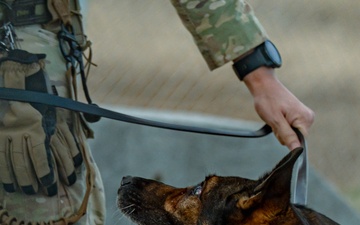 90 SFS Military Working Dog