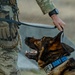 90th SFS Military Working Dog