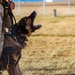 90th SFS Military Working Dog