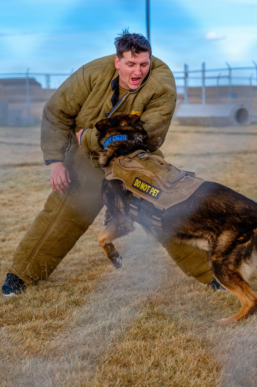 90th SFS Military Working Dog