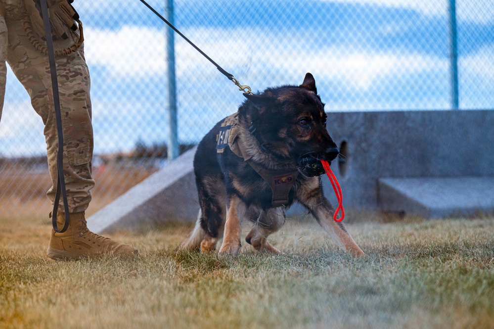 90th SFS Military Working Dog
