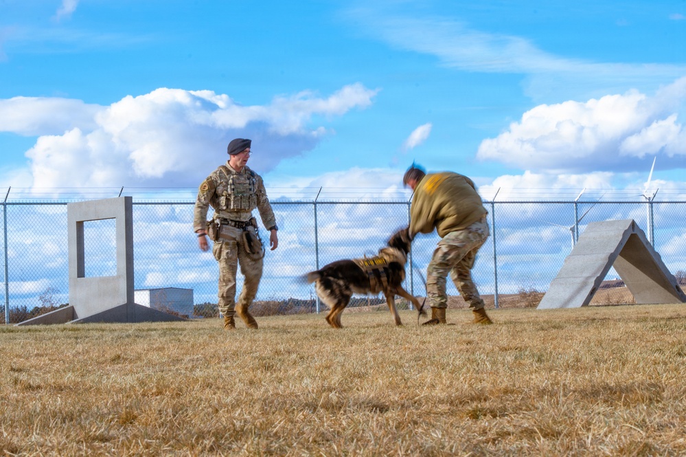 90th SFS Military Working Dog
