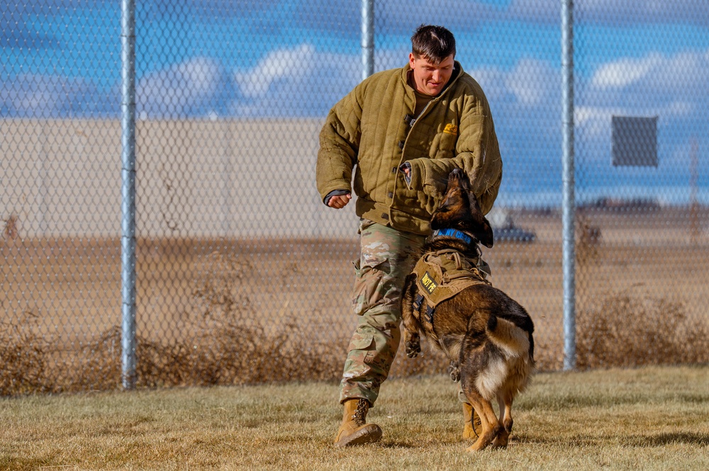 90th SFS Military Working Dog