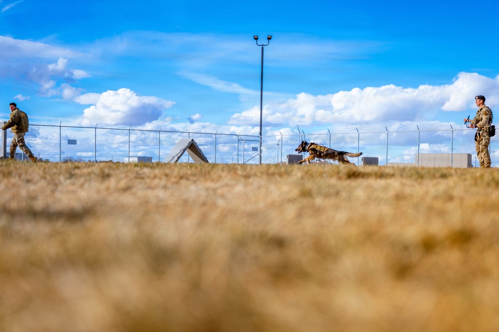 90th SFS Military Working Dog