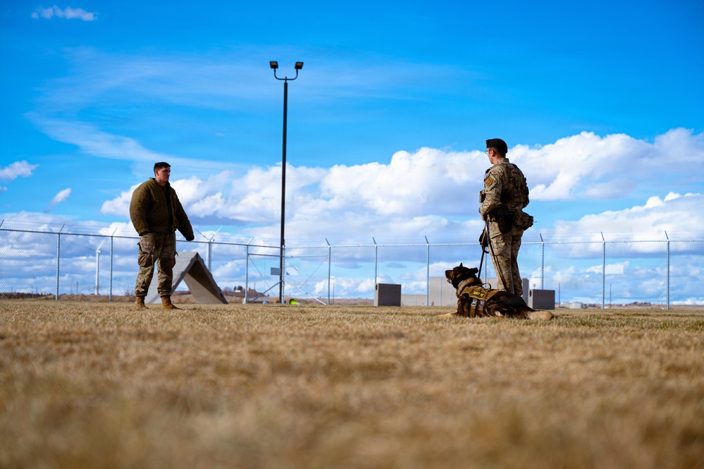 90th SFS Military Working Dog