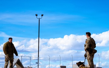 90th SFS Military Working Dog