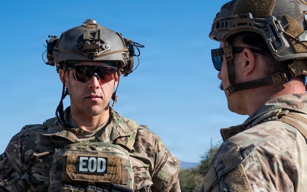 Mosaic Lightning 26-1