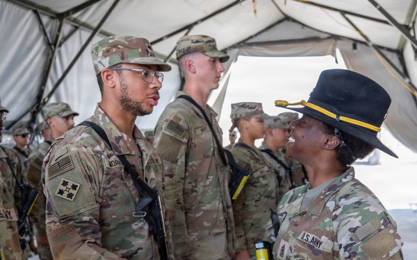 Task Force Nighthawk Patching Ceremony