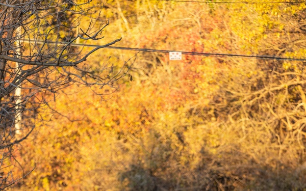 Senior Enlisted Leaders Participate in Mangudai 2025