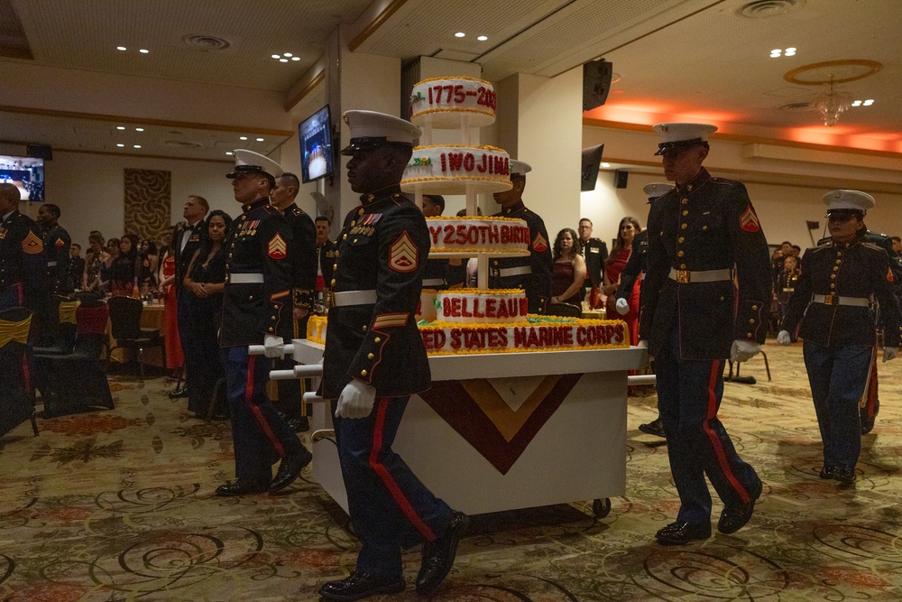 12th MLR Celebrates 250th Birthday of the U.S. Marine Corps