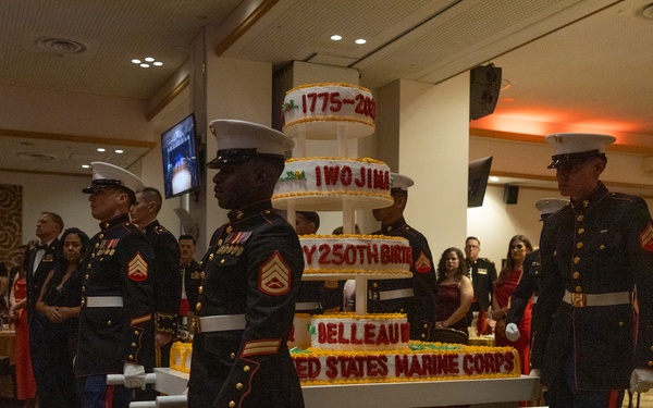 12th MLR Celebrates 250th Birthday of the U.S. Marine Corps