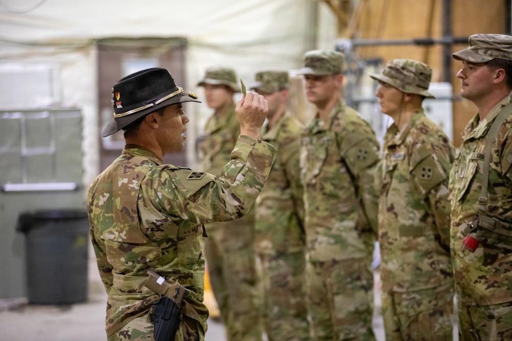 Task Force Nighthawk Patching Ceremony