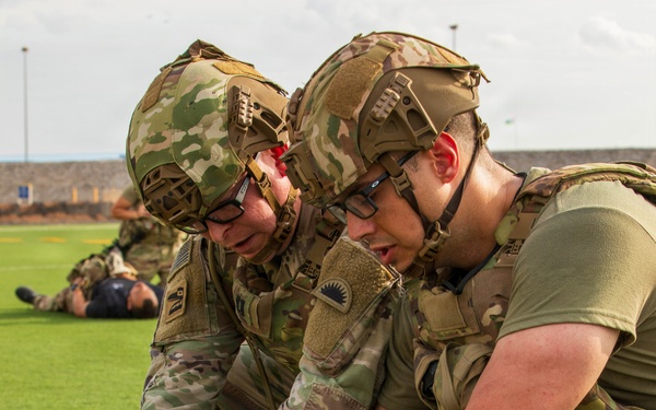 Joint-service MASCAL