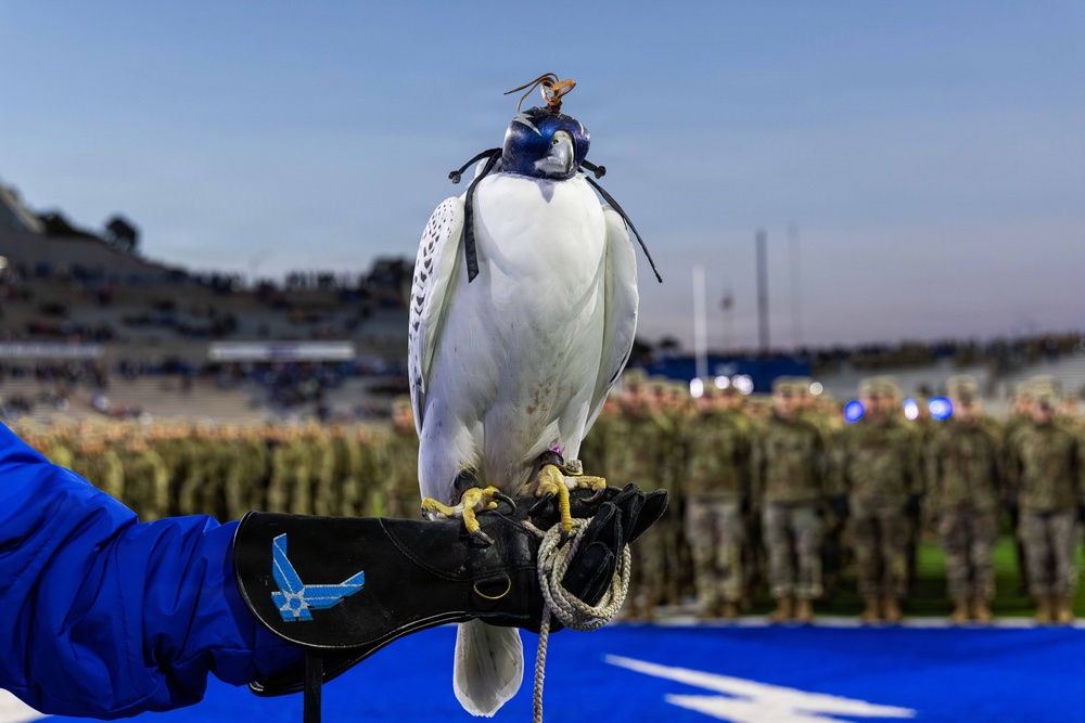 USAFA Football vs New Mexico 2025