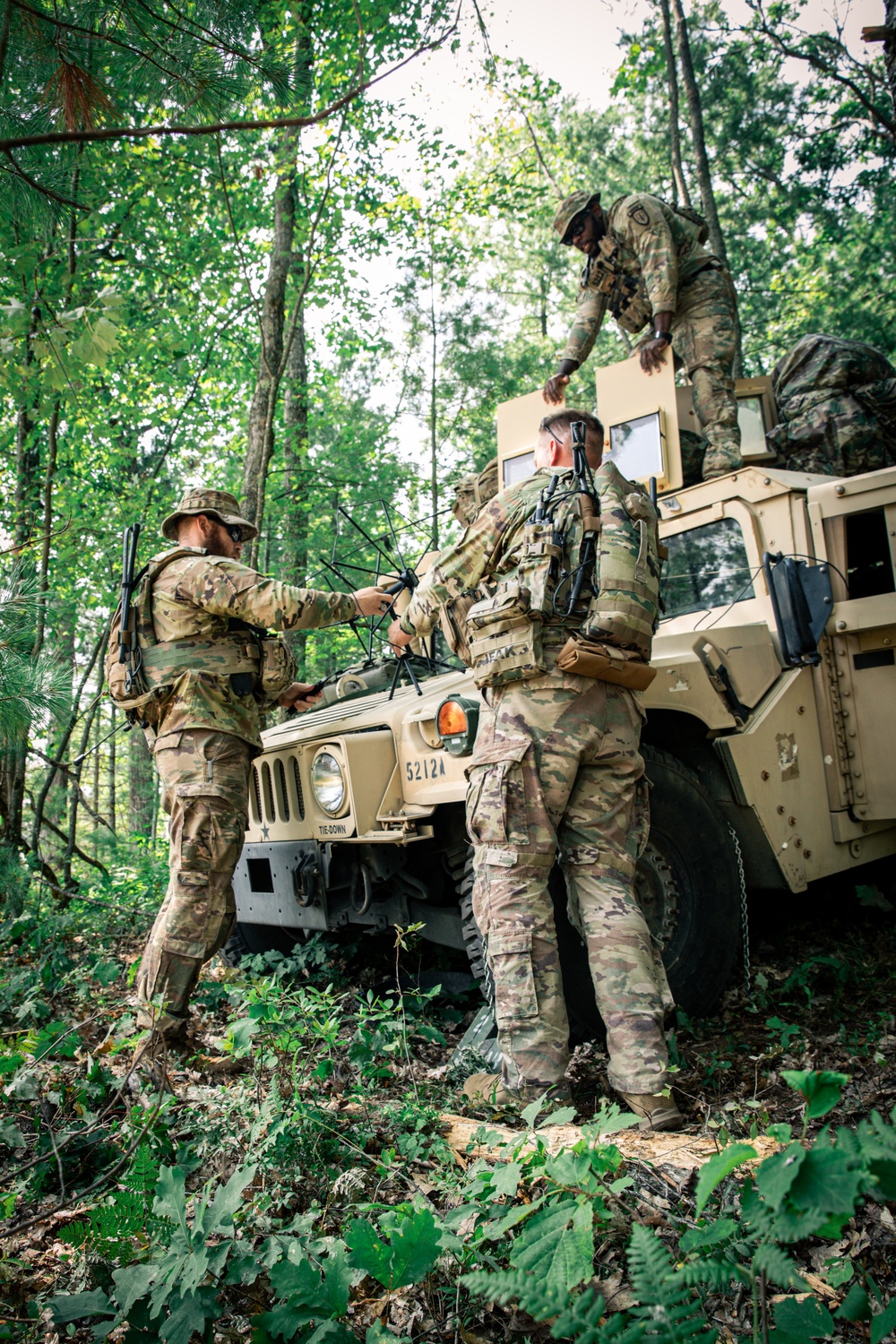 Northern Strike 2025