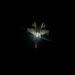 In the dead of night: F-35 Lightning II aircraft fly over CENTCOM