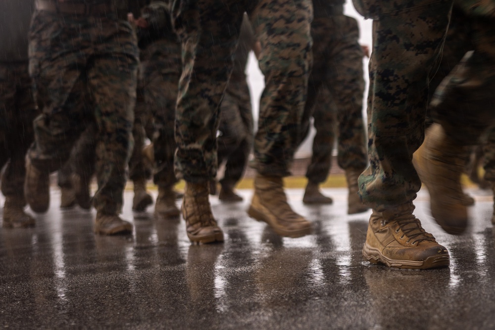 MAG-14 Cactus Cup | 2025