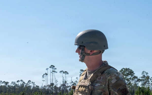 Mosaic Tiger 26-1 Sight Survey