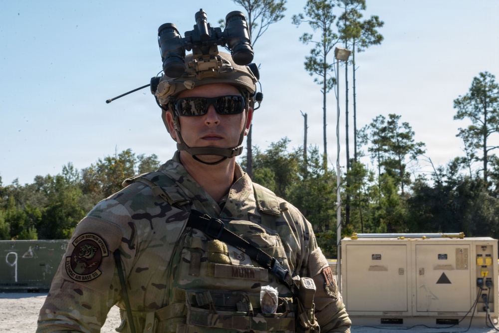 Faces of Mosaic Tiger 26-1