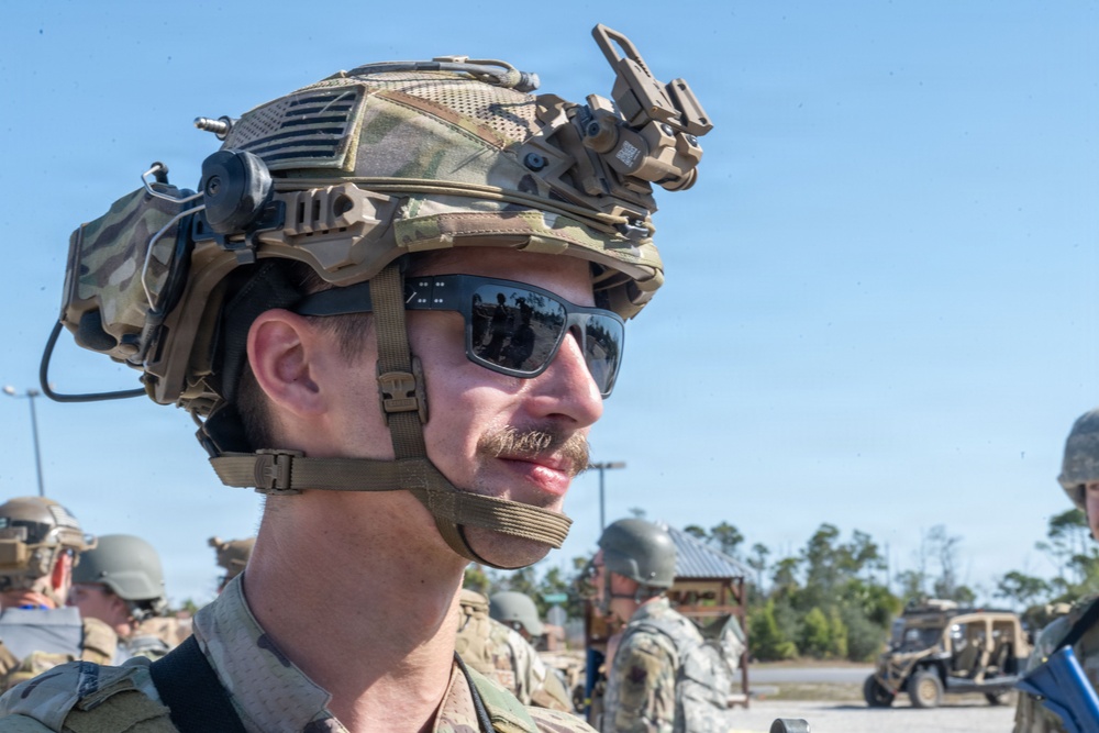 Faces of Mosaic Tiger 26-1