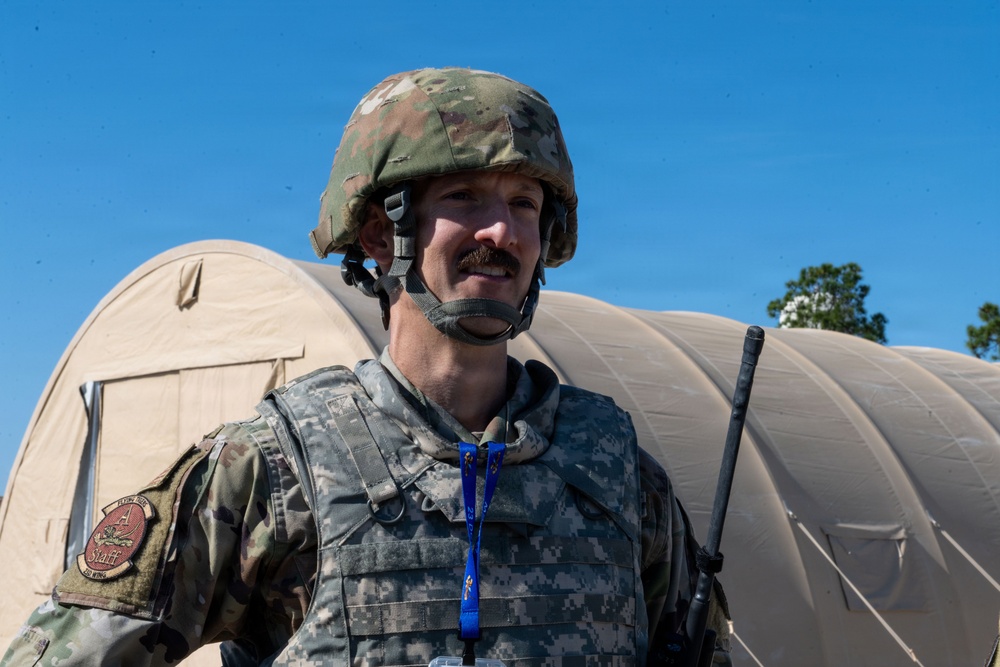 Faces of Mosaic Tiger 26-1