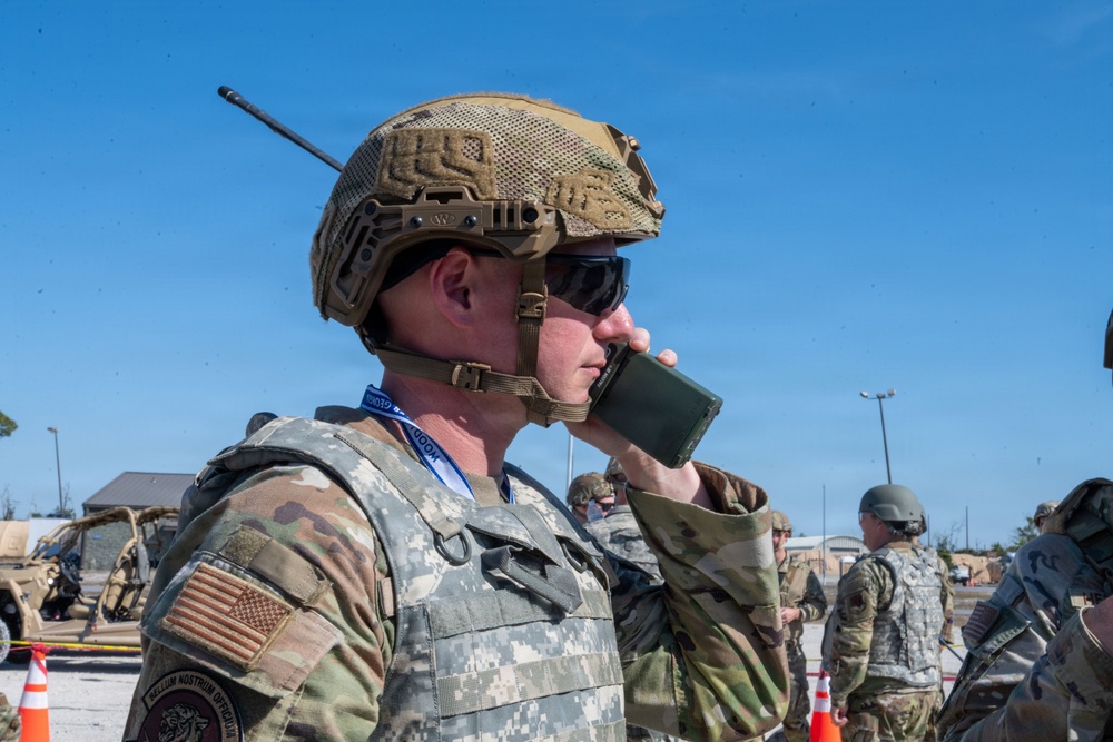 Faces of Mosaic Tiger 26-1