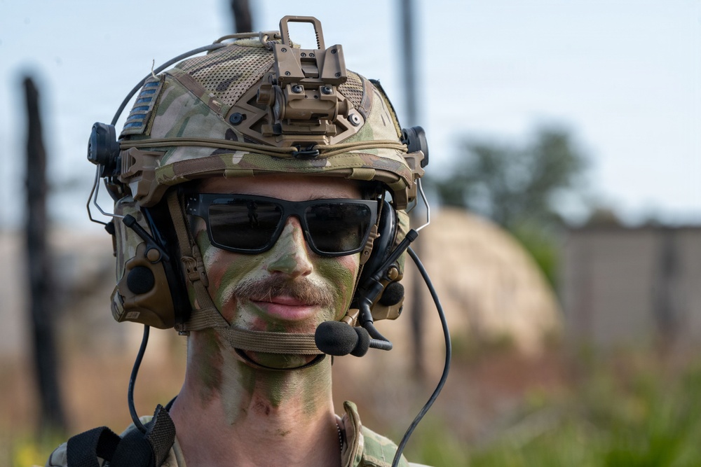 Faces of Mosaic Tiger 26-1