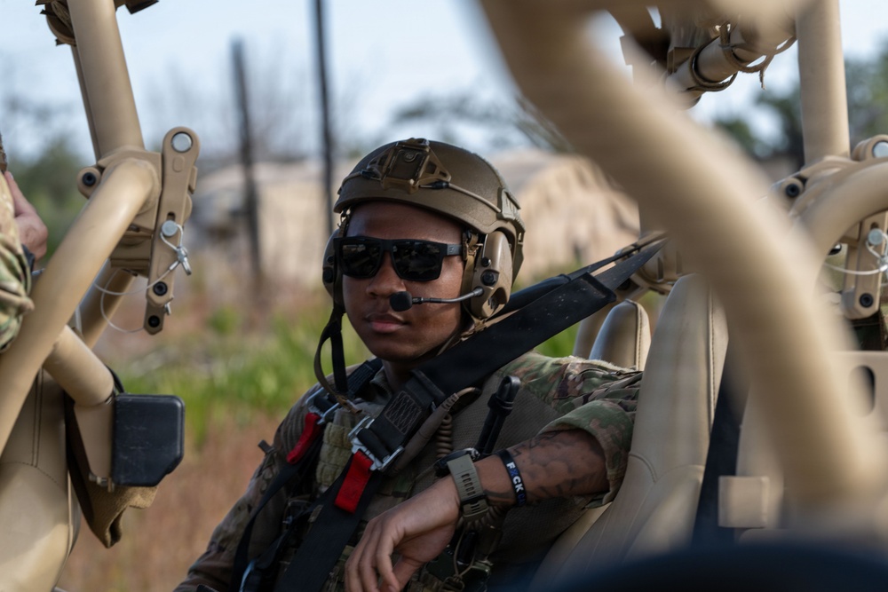 Faces of Mosaic Tiger 26-1