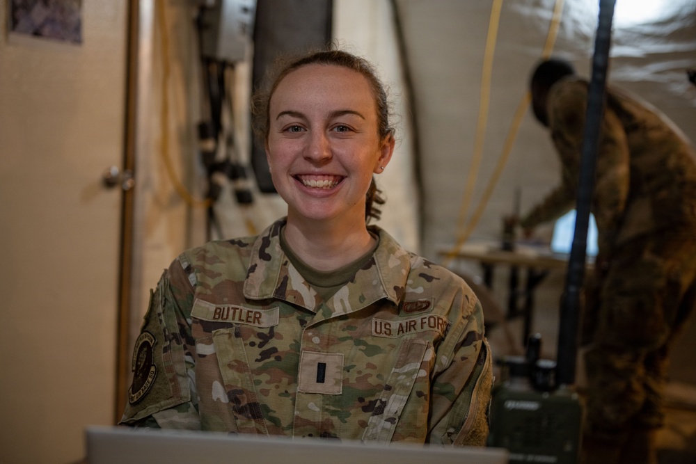 Faces of Mosaic Tiger 26-1