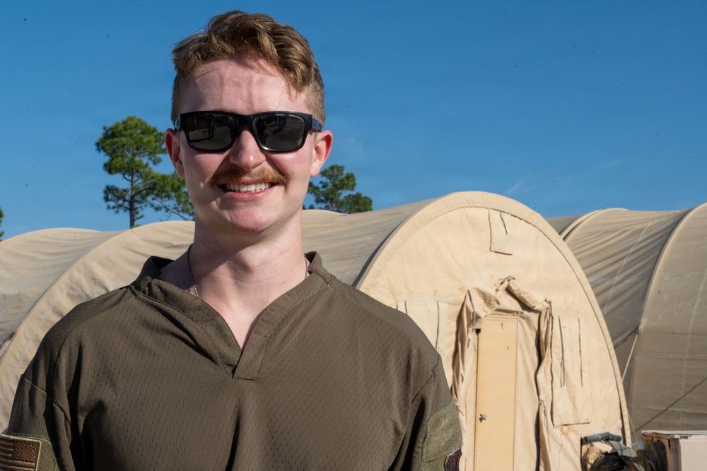 Faces of Mosaic Tiger 26-1