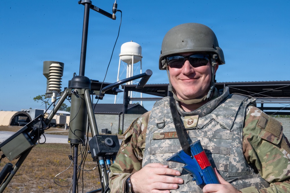 Faces of Mosaic Tiger 26-1