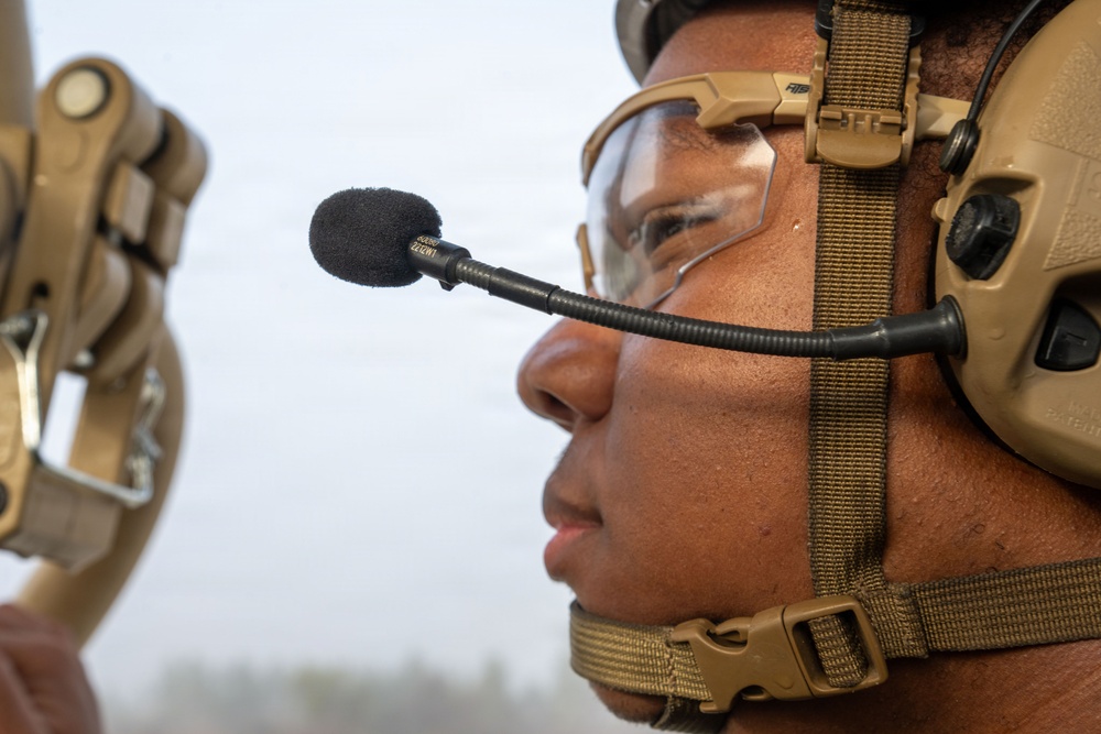 Faces of Mosaic Tiger 26-1