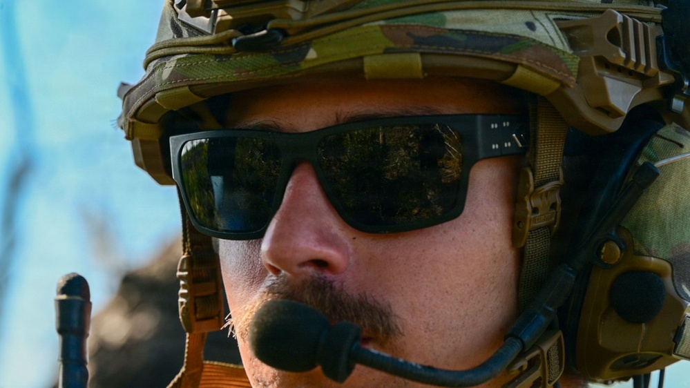 Faces of Mosaic Tiger 26-1