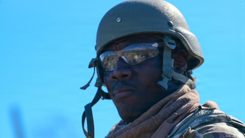 Faces of Mosaic Tiger 26-1