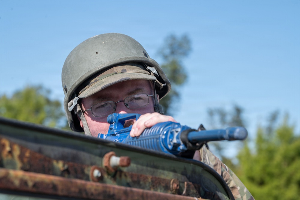 Faces of Mosaic Tiger 26-1