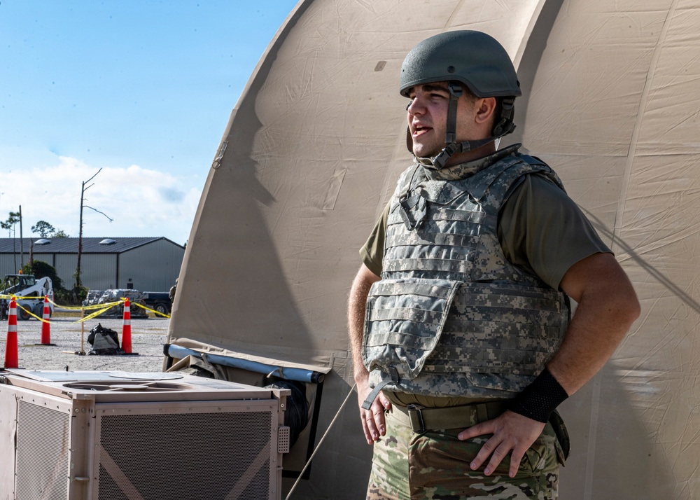 Faces of Mosaic Tiger 26-1