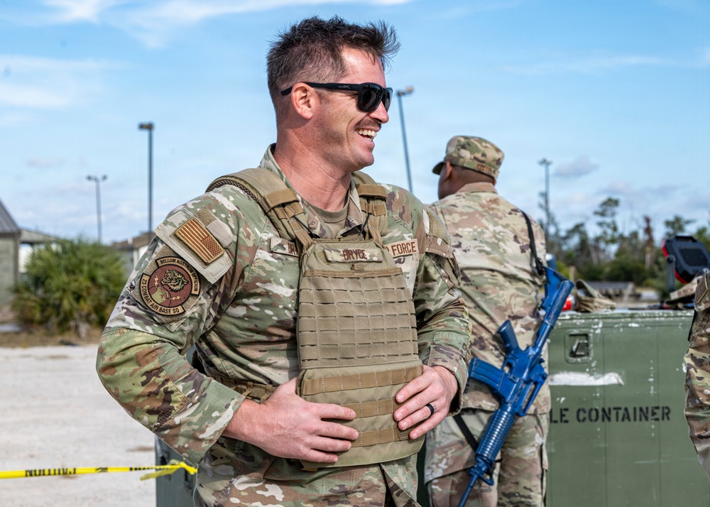 Faces of Mosaic Tiger 26-1