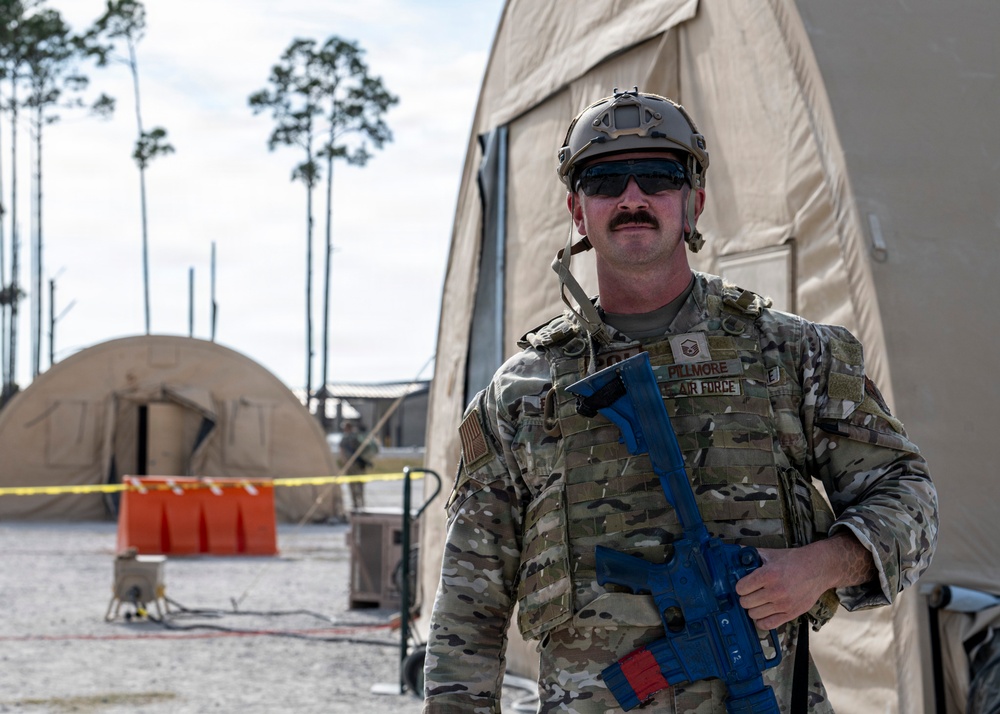 Faces of Mosaic Tiger 26-1