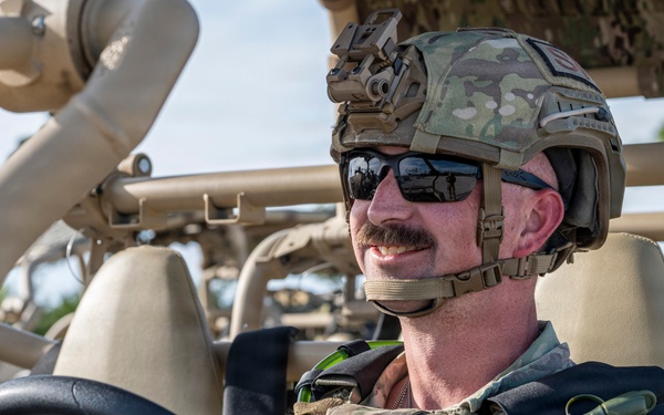 Faces of Mosaic Tiger 26-1