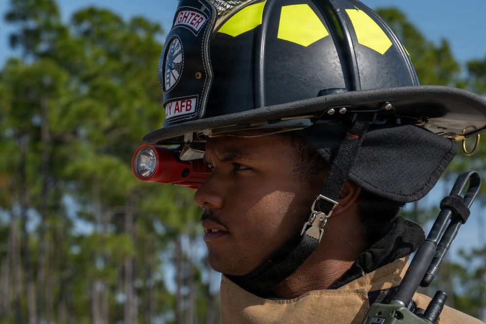 Faces of Mosaic Tiger 26-1