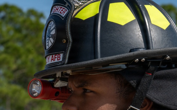 Faces of Mosaic Tiger 26-1