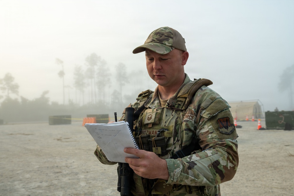 Faces of Mosaic Tiger 26-1